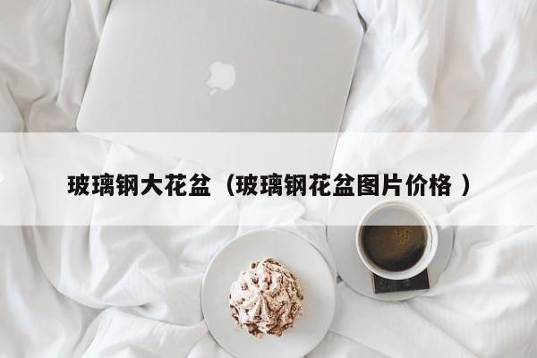 玻璃钢大花盆（玻璃钢花盆图片价格 ）