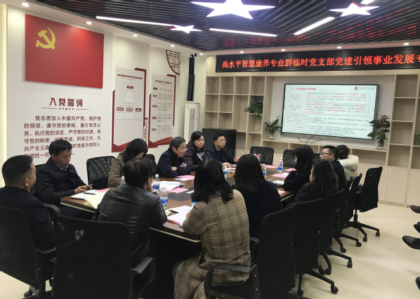 评论医养结合-概述说明以及解释pdf(图1)